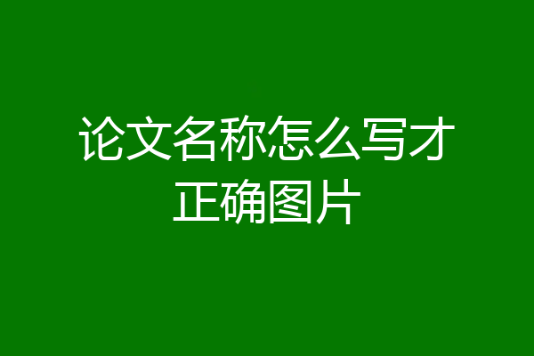 论文名称怎么写才正确图片