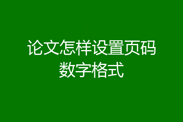 论文怎样设置页码数字格式