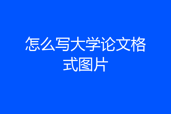 怎么写大学论文格式图片
