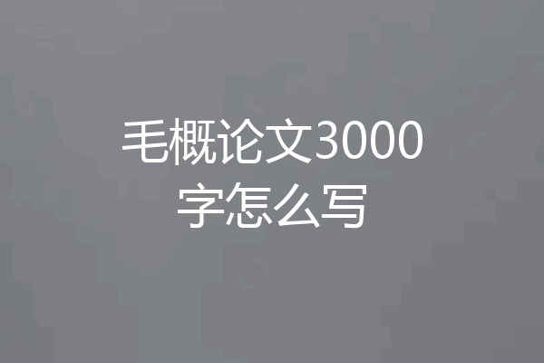 毛概论文3000字怎么写