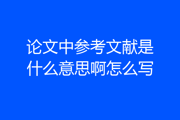 论文中参考文献是什么意思啊怎么写