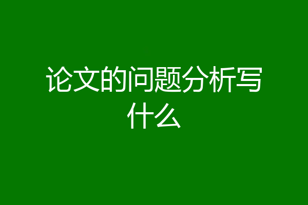 论文的问题分析写什么