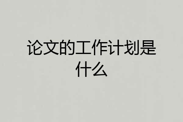 论文的工作计划是什么