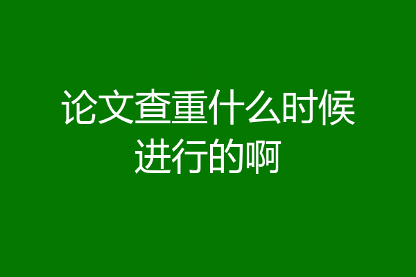 论文查重什么时候进行的啊