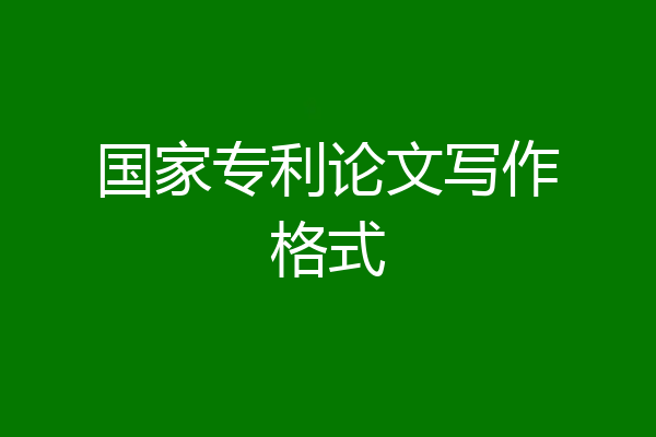 国家专利论文写作格式