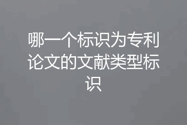 哪一个标识为专利论文的文献类型标识
