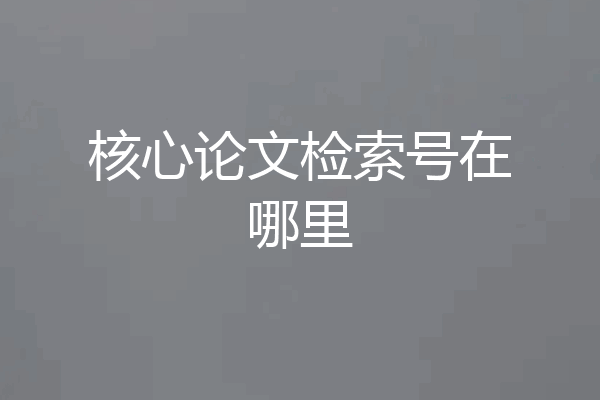 核心论文检索号在哪里