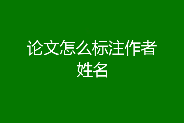 论文怎么标注作者姓名