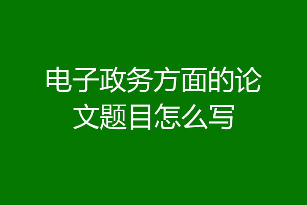 电子政务方面的论文题目怎么写