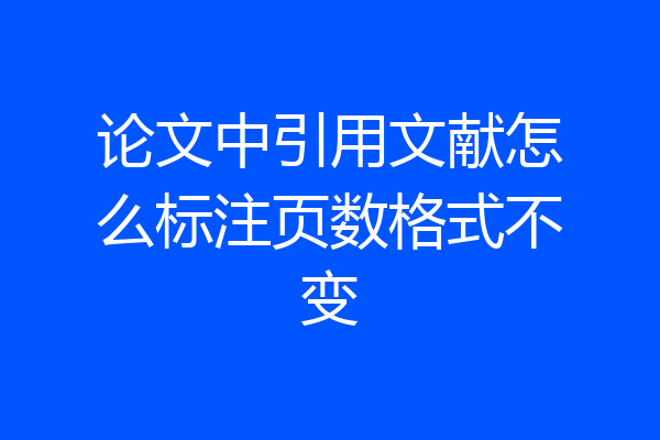 论文中引用文献怎么标注页数格式不变