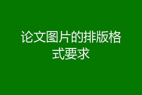 论文图片的排版格式要求