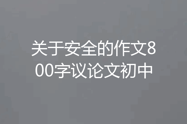 关于安全的作文800字议论文初中