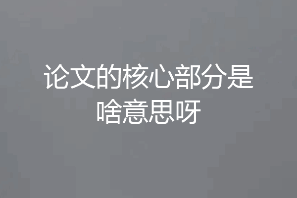 论文的核心部分是啥意思呀