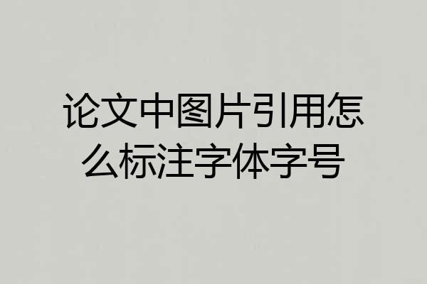 论文中图片引用怎么标注字体字号