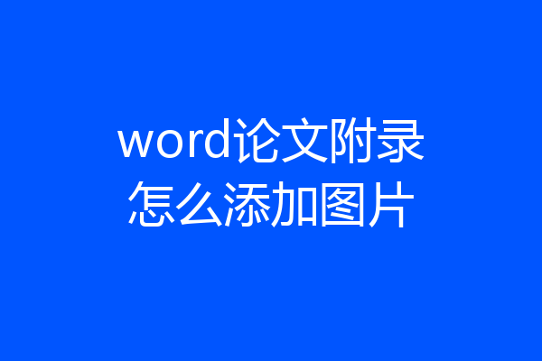 word论文附录怎么添加图片