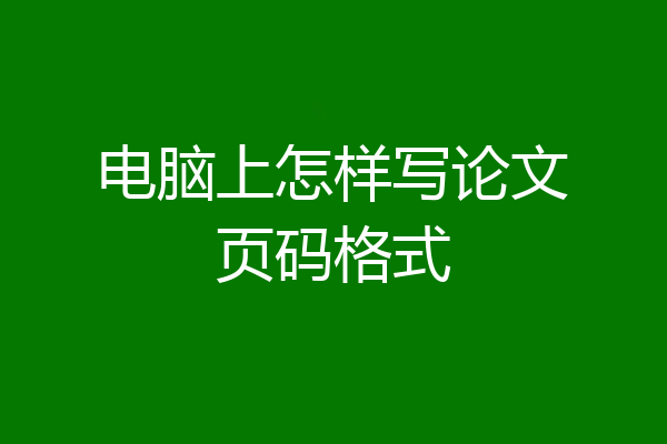 电脑上怎样写论文页码格式