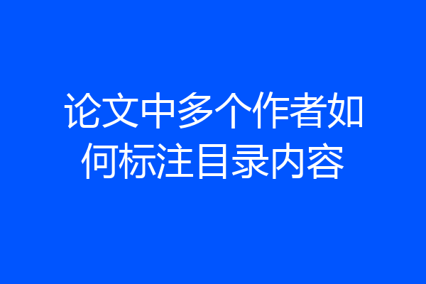 论文中多个作者如何标注目录内容