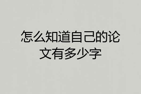 怎么知道自己的论文有多少字
