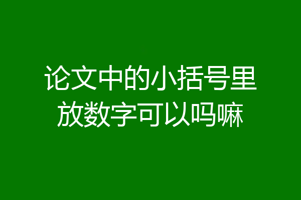 论文中的小括号里放数字可以吗嘛
