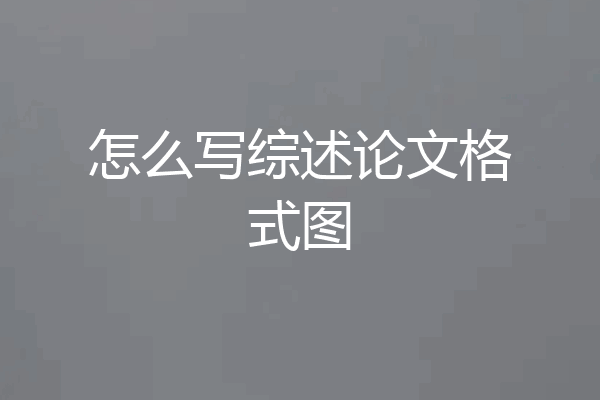 怎么写综述论文格式图