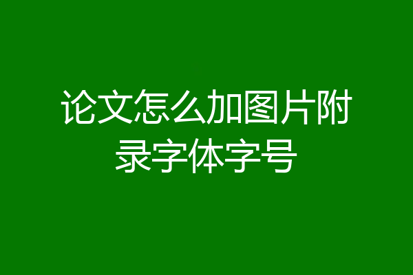 论文怎么加图片附录字体字号