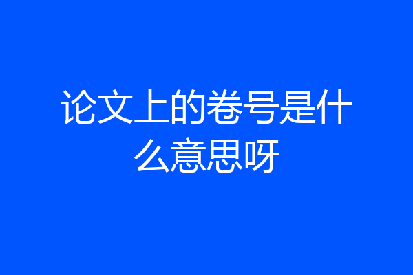 论文上的卷号是什么意思呀