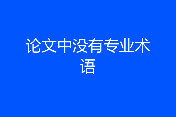 论文中没有专业术语