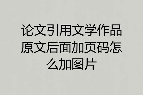 论文引用文学作品原文后面加页码怎么加图片