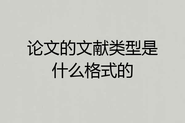 论文的文献类型是什么格式的