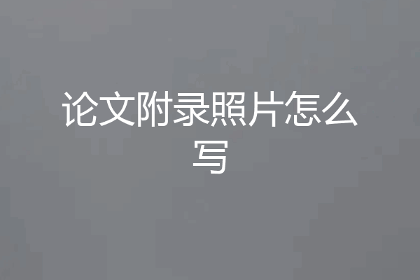 论文附录照片怎么写