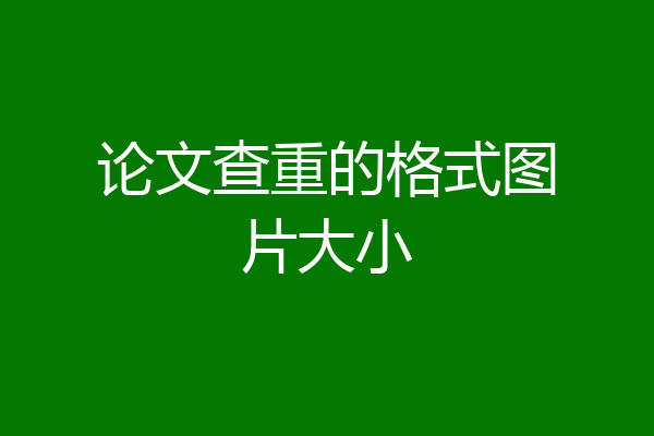 论文查重的格式图片大小