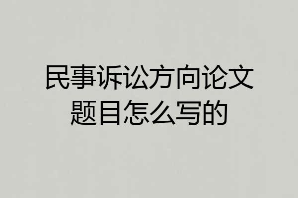 民事诉讼方向论文题目怎么写的