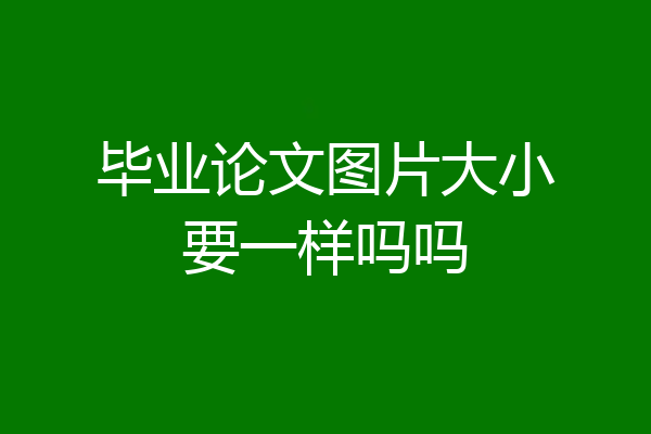 毕业论文图片大小要一样吗吗