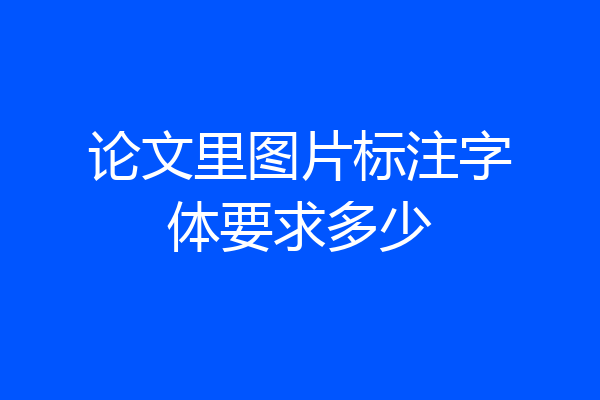 论文里图片标注字体要求多少