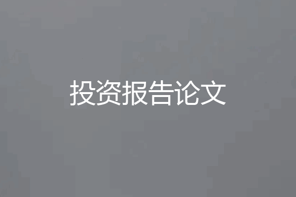 投资报告论文