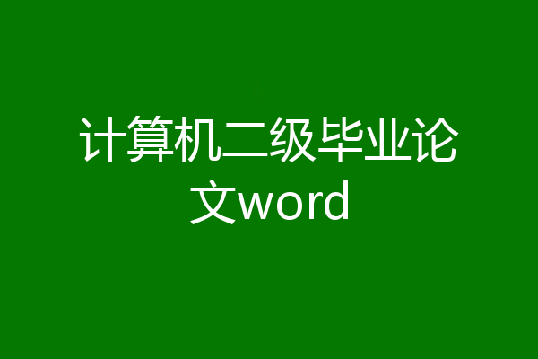 计算机二级毕业论文word