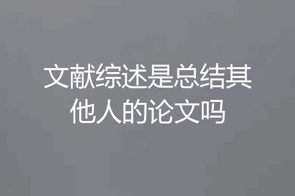 文献综述是总结其他人的论文吗