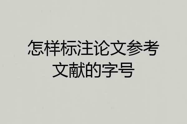 怎样标注论文参考文献的字号