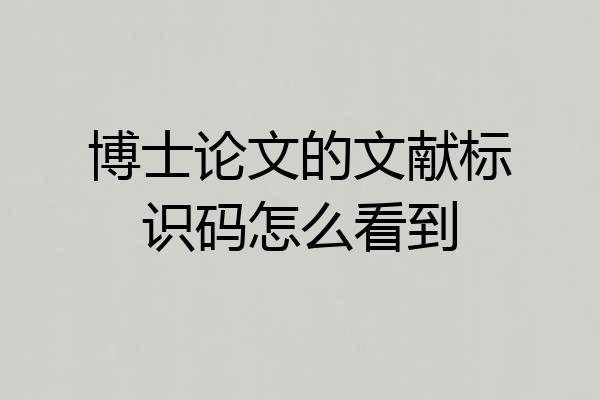 博士论文的文献标识码怎么看到