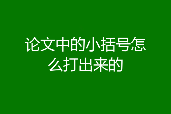 论文中的小括号怎么打出来的