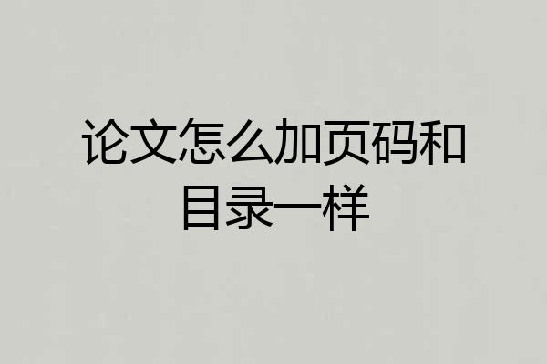 论文怎么加页码和目录一样