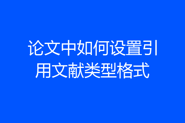 论文中如何设置引用文献类型格式