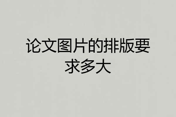 论文图片的排版要求多大