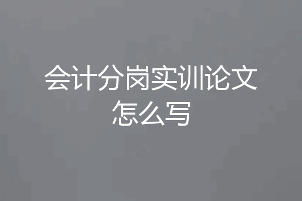 会计分岗实训论文怎么写