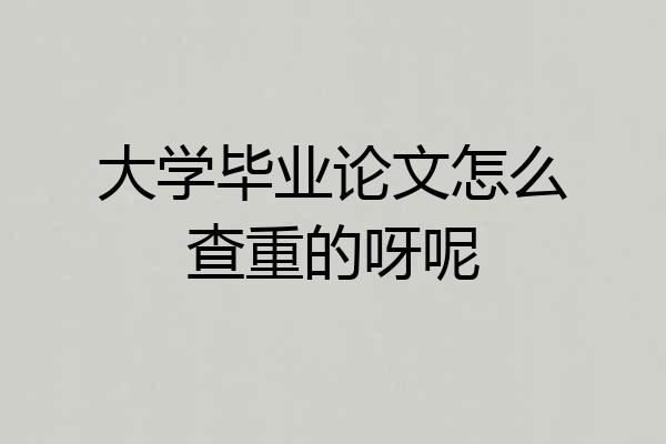 大学毕业论文怎么查重的呀呢