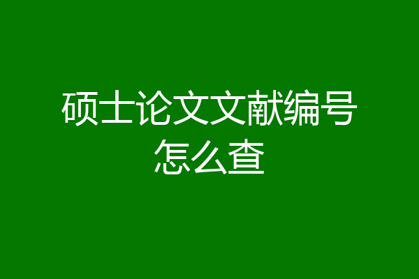 硕士论文文献编号怎么查