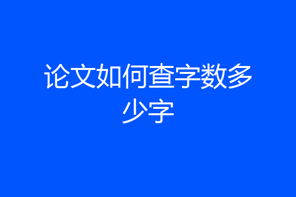 论文如何查字数多少字