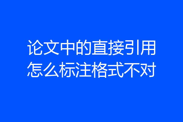 论文中的直接引用怎么标注格式不对