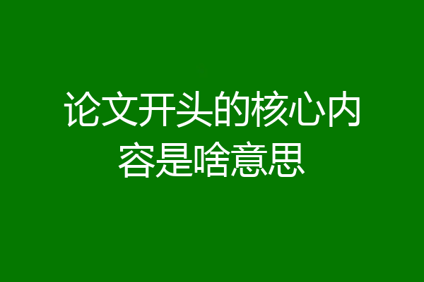 论文开头的核心内容是啥意思