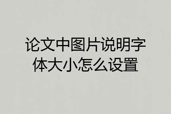 论文中图片说明字体大小怎么设置